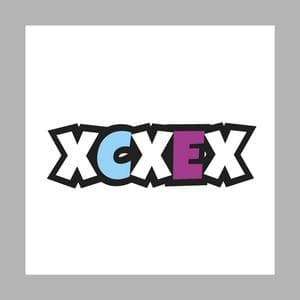 profile_Unemotional type (XCXEX)