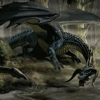 Black Dragon MBTI Personality Type image