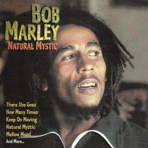 profile_Bob Marley & The Wailers - Natural Mystic