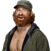 Sami Zayn MBTI 성격 유형 image