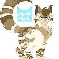 profile_Curlfeather