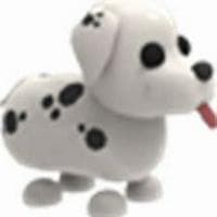 profile_Dalmatian