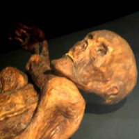 Ötzi MBTI性格类型 image