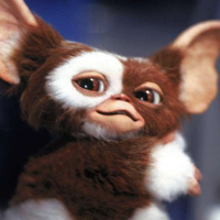 Gizmo тип личности MBTI image