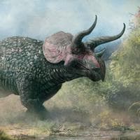 Triceratops type de personnalité MBTI image