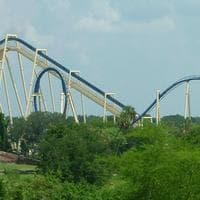 profile_Montu (roller coaster)