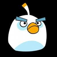 profile_Snowball Bird