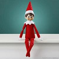 Elf on The Shelf mbti kişilik türü image
