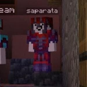 profile_Saparata