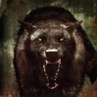 profile_The Big Bad Wolf