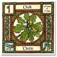 profile_Oak, the Stabilizer