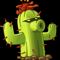 profile_Cactus