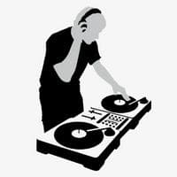 DJ (Disc Jockey) тип личности MBTI image