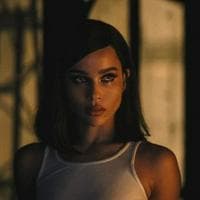 Selina Kyle “Catwoman” MBTI -Persönlichkeitstyp image