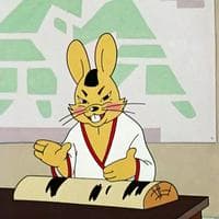 Karate Hare MBTI Personality Type image