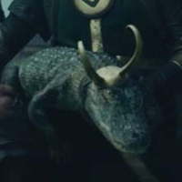 Alligator Loki نوع شخصية MBTI image