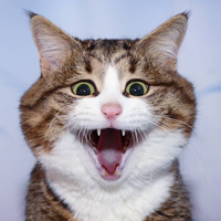 profile_Living emoji cat