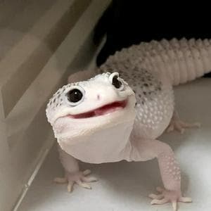 profile_lizzard_man