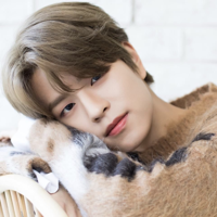 Kim Seungmin (Stray Kids) type de personnalité MBTI image