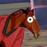 profile_the Horse in the Coat
