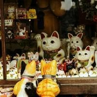 Maneki Neko tipo di personalità MBTI image