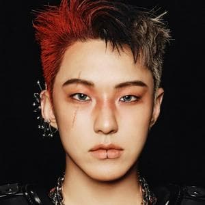 profile_Hoshi (SEVENTEEN)