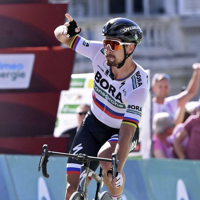 Peter Sagan typ osobowości MBTI image