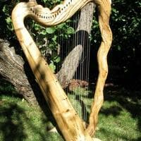 profile_Harp