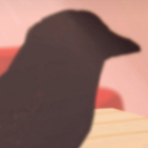 profile_the Crow