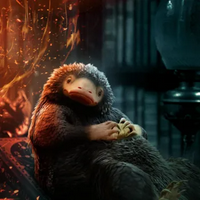 Niffler typ osobowości MBTI image