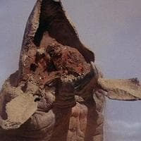 Backrooms Fandom mbtiパーソナリティタイプ image