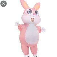 Bunny costume type de personnalité MBTI image