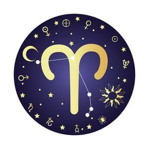 profile_白羊座 ISFP 9