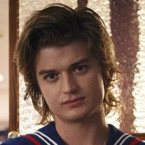 profile_Steve Harrington