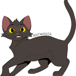 profile_Hootwhisker
