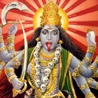 Kali MBTI Personality Type image