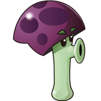 profile_Scaredy-shroom