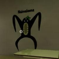 profile_Nabnaleena