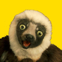 Zoboomafoo mbtiパーソナリティタイプ image