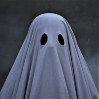 C (the ghost) MBTI Personality Type image