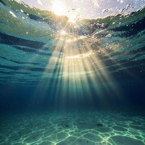 profile_Ocean