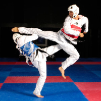 Tae Kwon Do tipo di personalità MBTI image