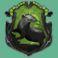 Slytherpuff (Hybrid House) type de personnalité MBTI image