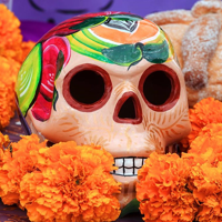 Day of the Dead type de personnalité MBTI image