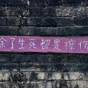 profile_小蘑菇见手青