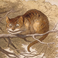 Cheshire cat MBTI Personality Type image