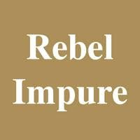 Rebel Impure mbti kişilik türü image