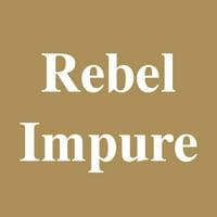 Rebel Impure tipo de personalidade mbti image