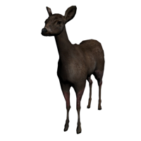 Deer tipe kepribadian MBTI image