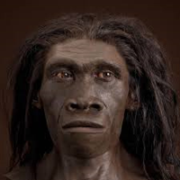 Homo Erectus tipo di personalità MBTI image